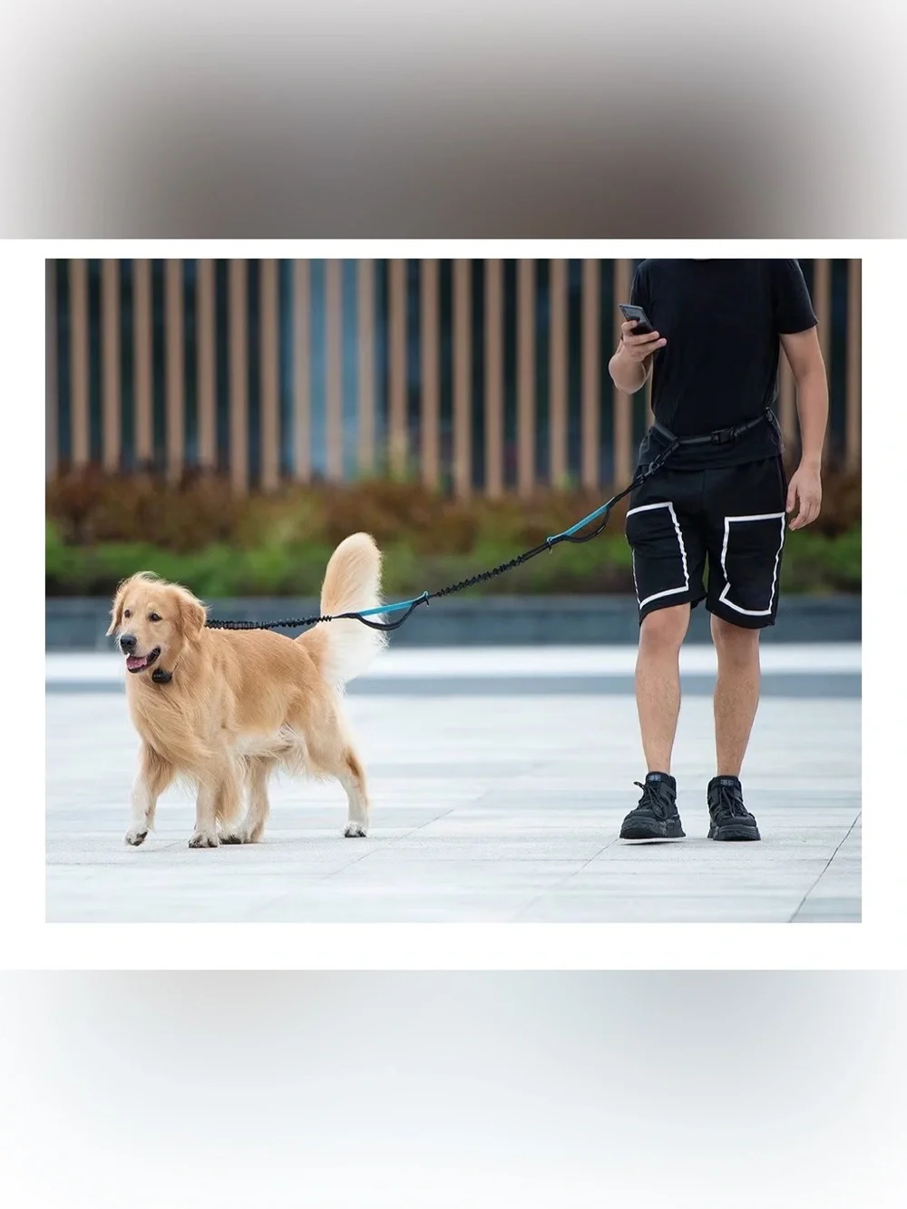 Hands Free Dog Leash with Zipper Pouch, Dual Padded Handles